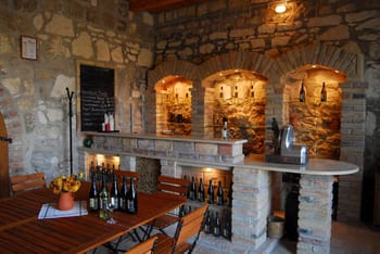 Visite de vignoble et dégustation de vins à Budapest