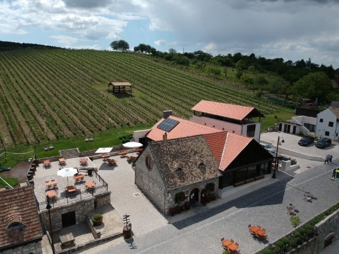 Visite de vignoble et dégustation de vins à Budapest