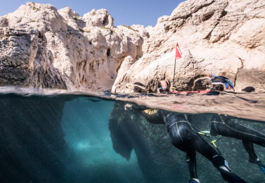Randonnée palmée à Marseille, découverte des fonds marins - Team Building