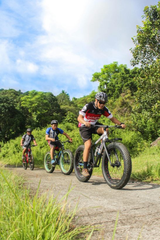 Location de vélo et activités en vélo dans le Morbihan