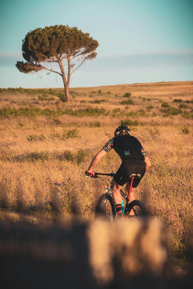 Location de vélo et activités en vélo dans le Morbihan