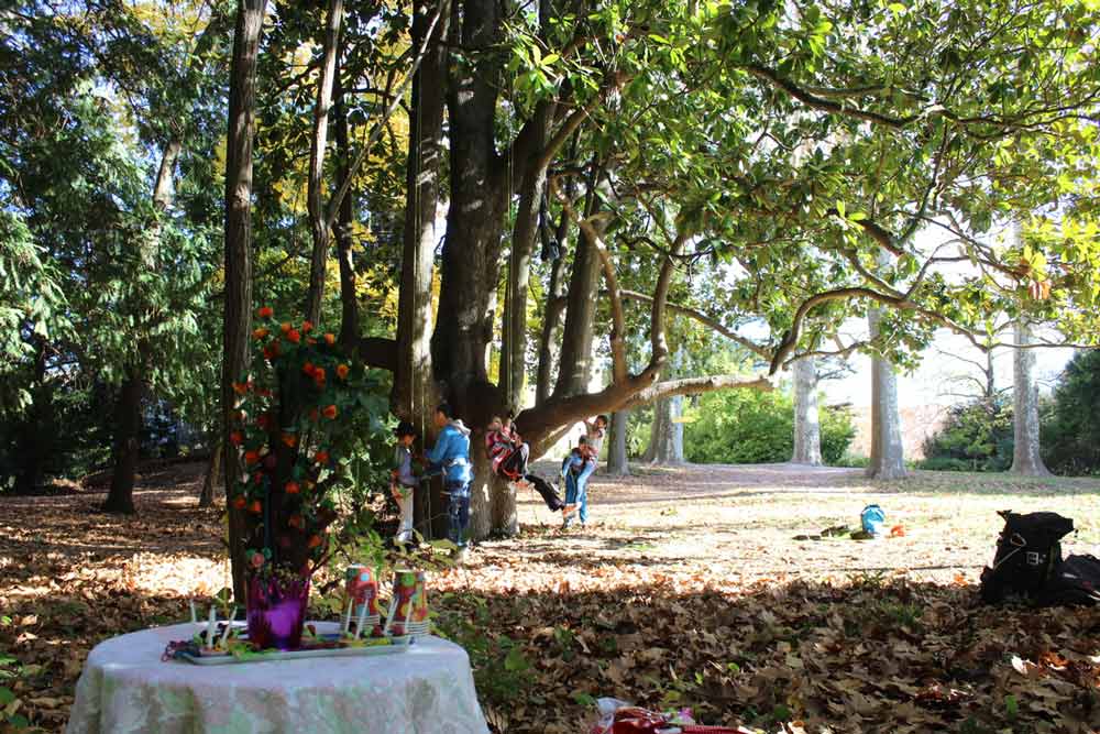 Anniversaire Enfant À Montpellier : Grimpe Dans Les Arbres