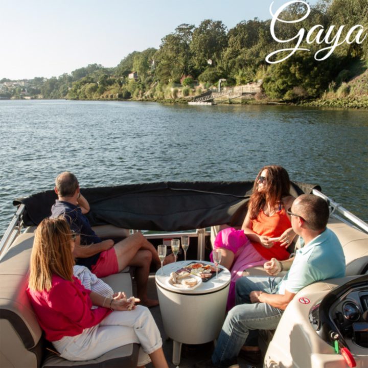 Location bateau avec skipper à Porto - Bateaux à moteur 9, 10 et 14 places