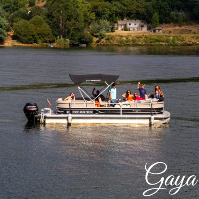 Location bateau avec skipper à Porto - Bateaux à moteur 9, 10 et 14 places