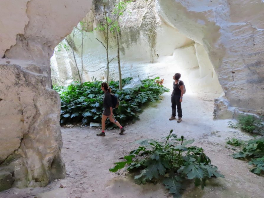 Excursion avec visite de grottes à Majorque