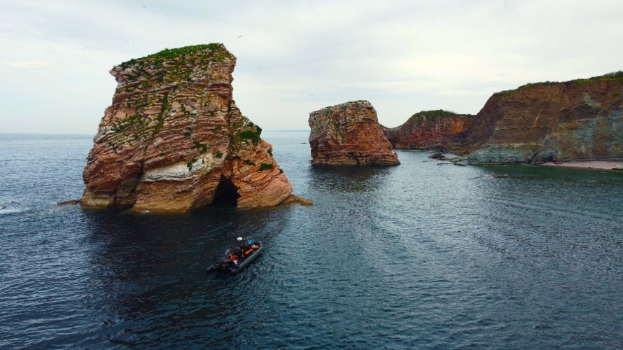Tour en bateau à Saint Jean de Luz