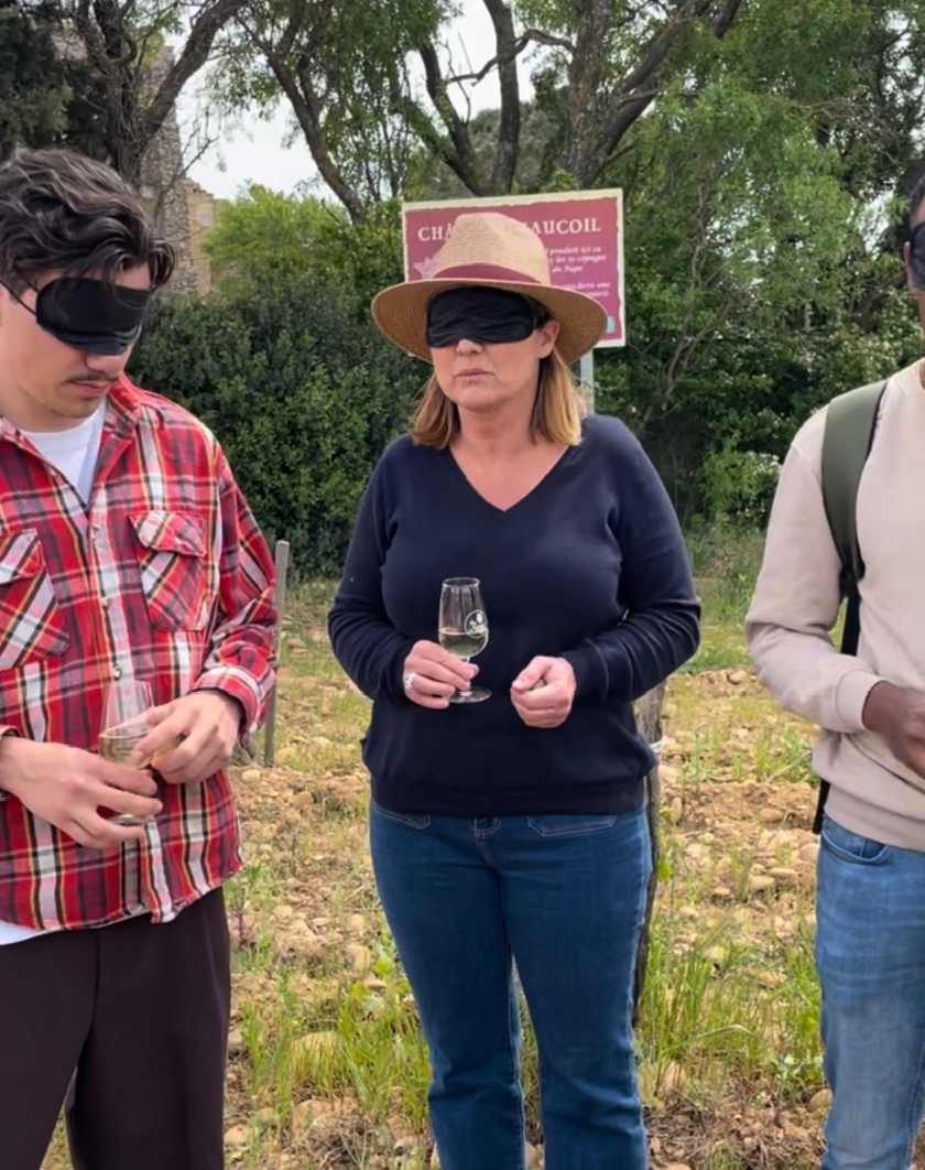 Oenotourisme près d'Avignon