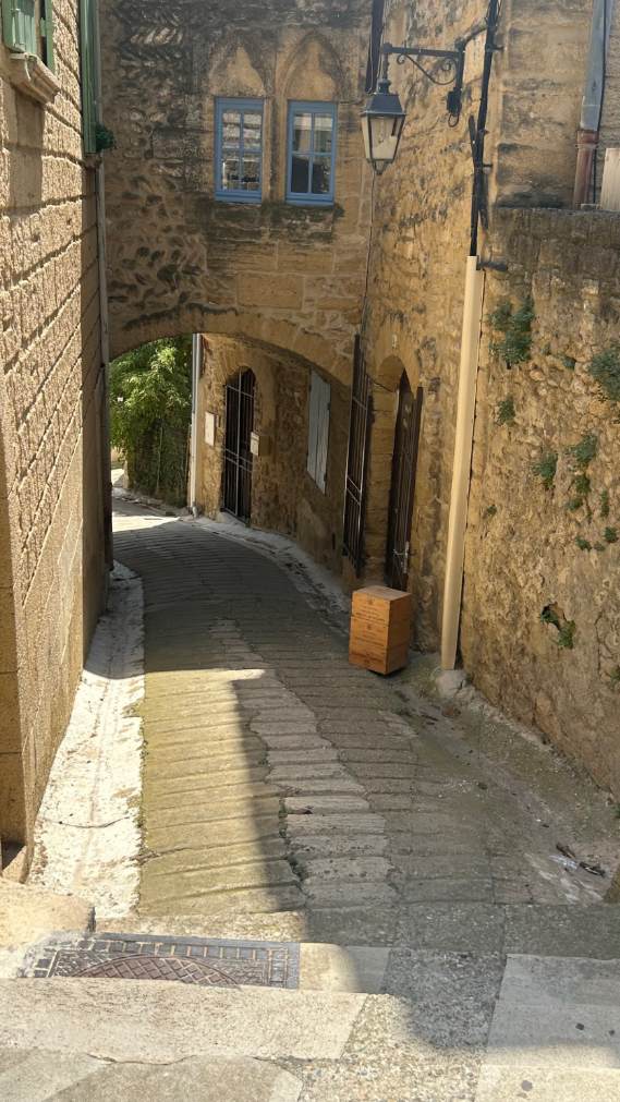 Oenotourisme près d'Avignon