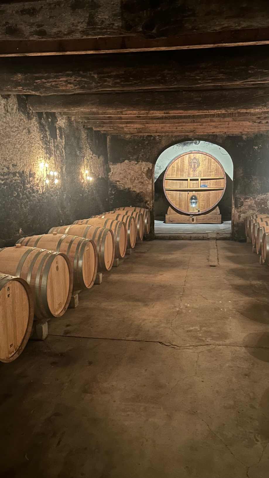 Oenotourisme près d'Avignon