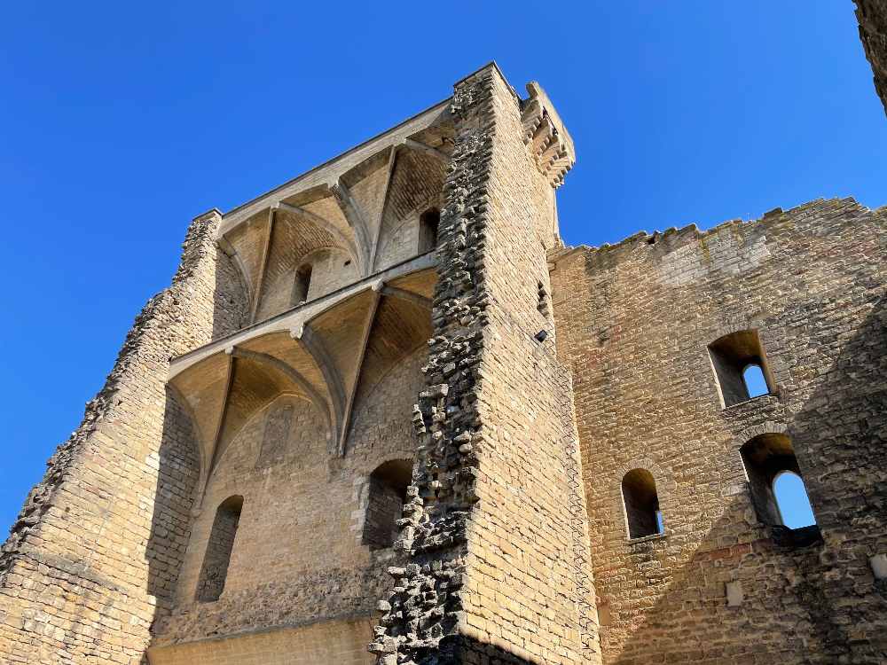 Oenotourisme près d'Avignon