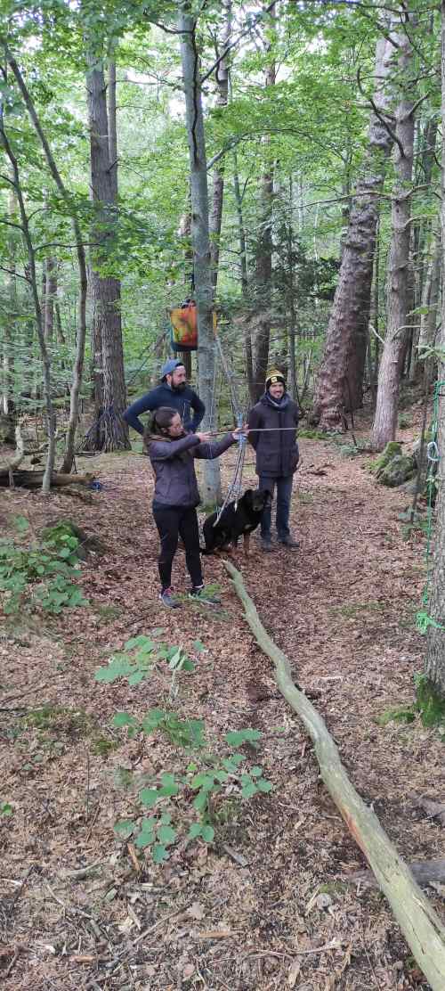 Stage de survie dans la chaîne des Puys