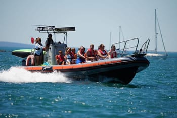 Excursion Bateau au Cap d'Agde - EVG/EVJF