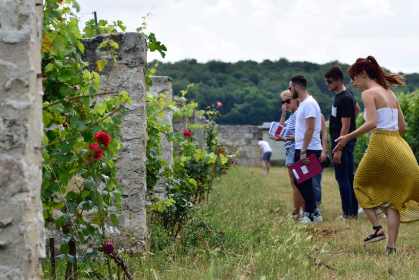  Rallye Oenologique à Angers - EVG/EVJF et Team Building