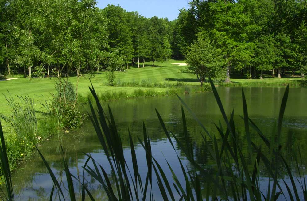 Cours particulier de golf à Marivaux - 30 min de Paris - 91