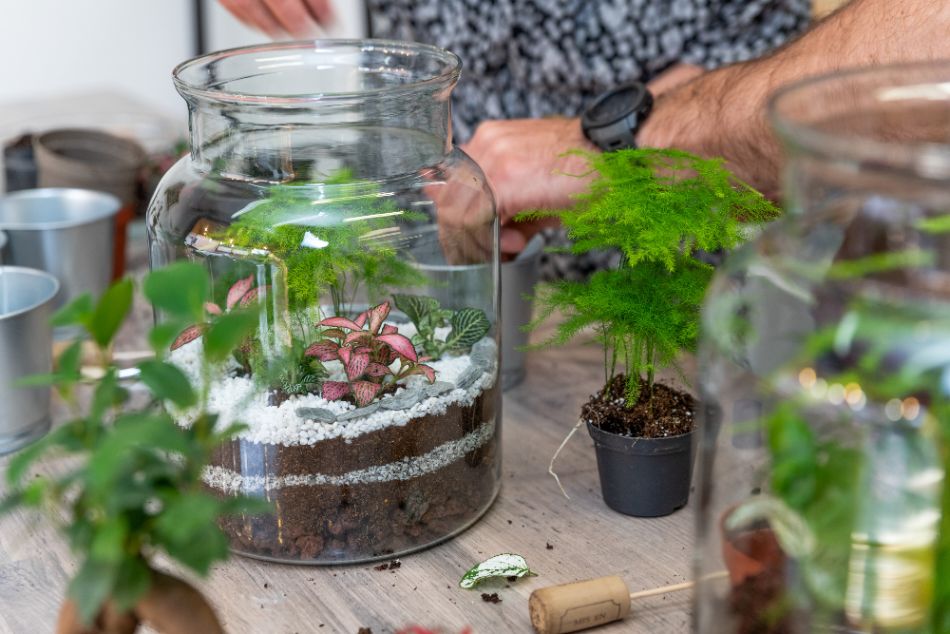 Atelier Terrarium à 15 minutes de Lyon