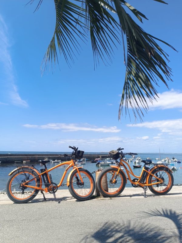 Balade insolite en Fatbike électrique à Carnac et Erdeven