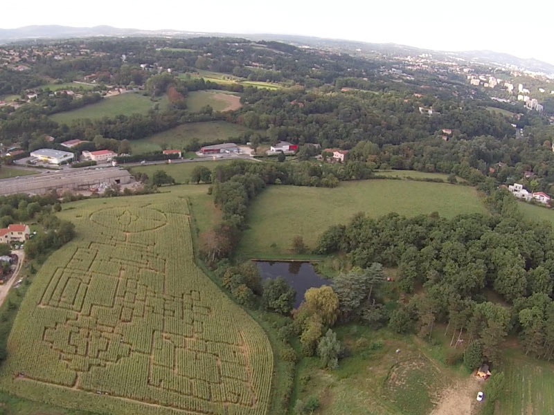 Jeu de piste dans un labyrinthe géant de Maïs à proximité de Lyon