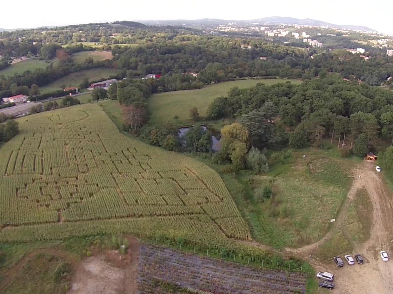 Jeu de piste dans un labyrinthe géant de Maïs à proximité de Lyon