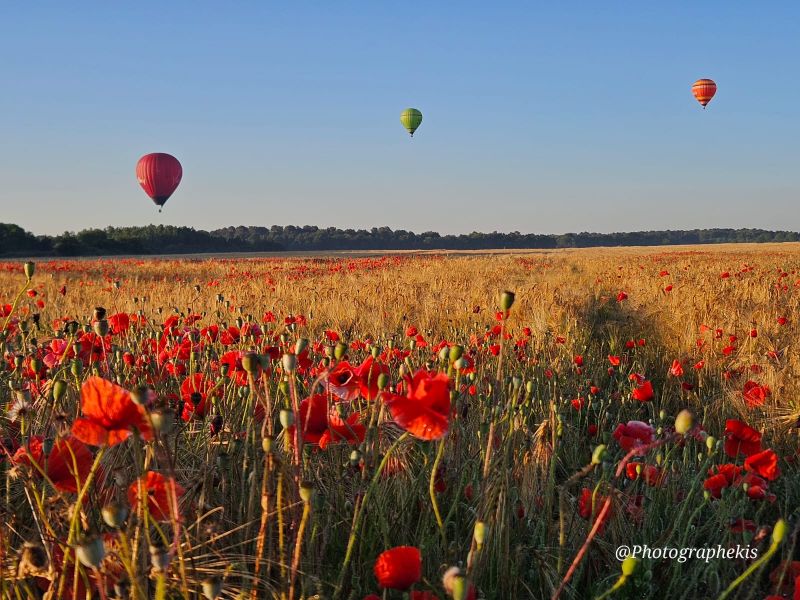 Vol en Montgolfière autour de La Rochelle