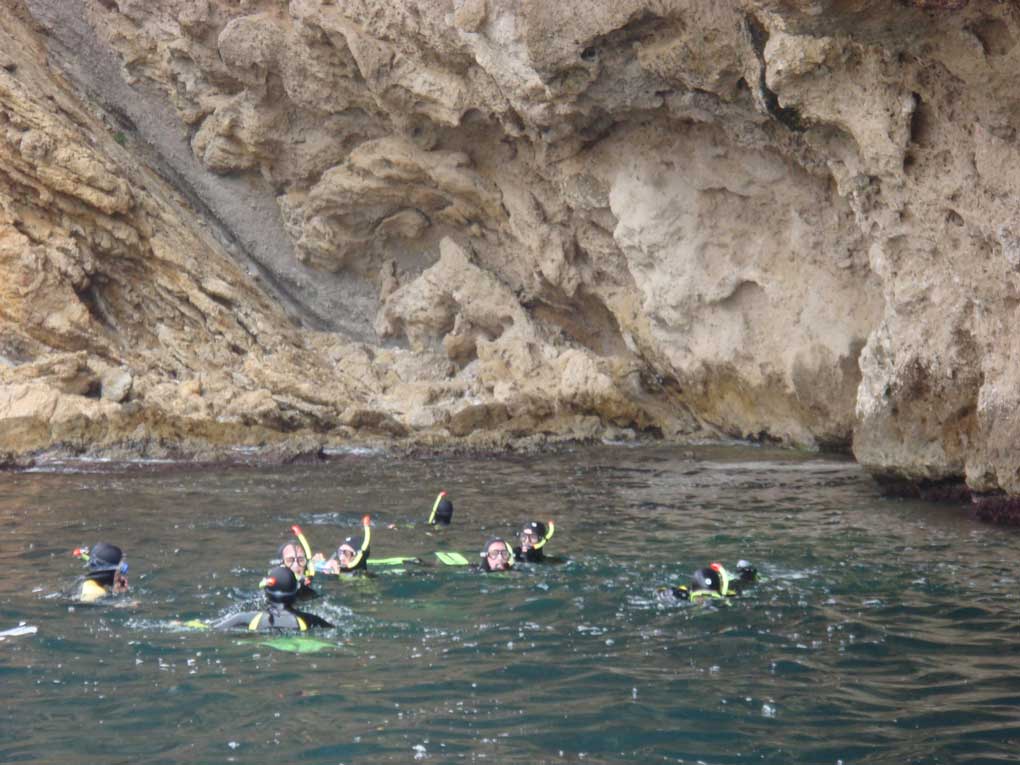 Randonnée palmée / Snorkeling dans les calanques de la côte bleue près de Marseille