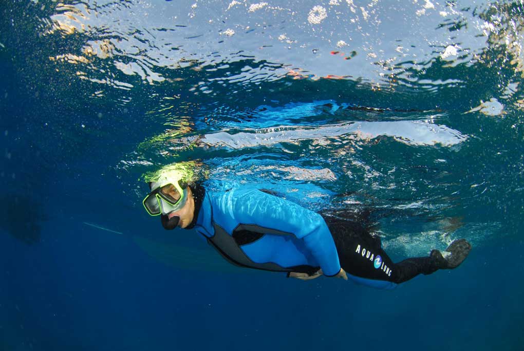 Randonnée palmée / Snorkeling dans les calanques de la côte bleue près de Marseille