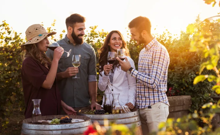 Dégustation de Vin à domicile dans les Hauts-de-France