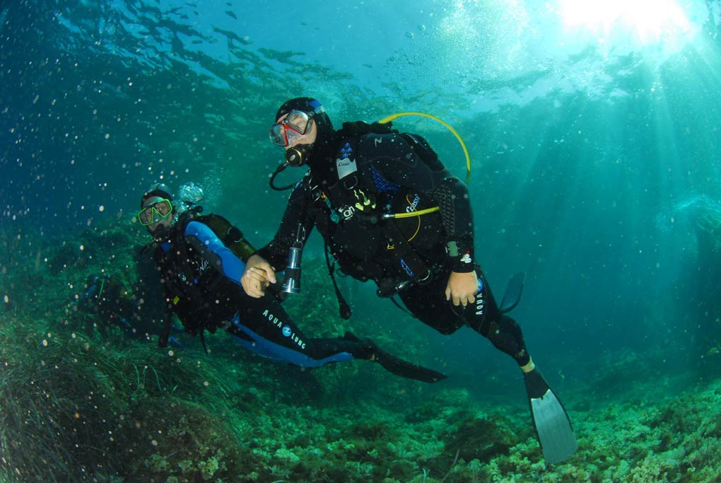 Initiation à la plongée sous-marine dans les calanques de la côte bleue près de Marseille