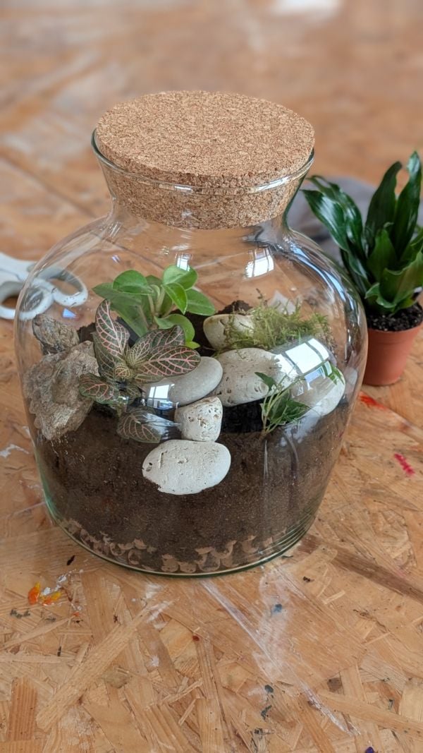 Atelier Terrarium à La Rochelle - EVJF