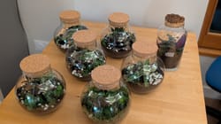 Atelier Terrarium à La Rochelle - EVJF