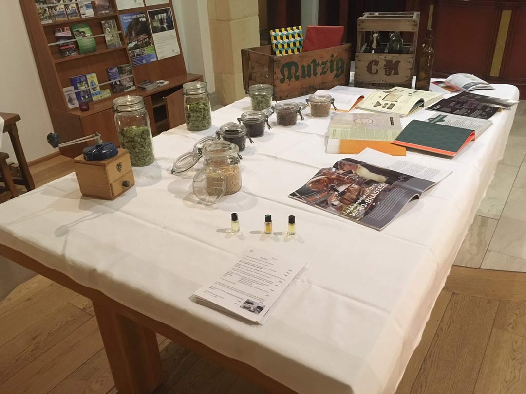 Atelier dégustation de bières à Strasbourg 
