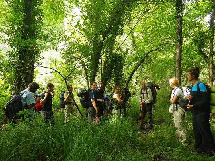 Stage de survie en milieu naturel dans le Jura