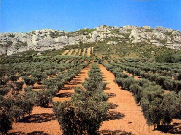 Location de vélos électriques à Saint Rémy de Provence - 13