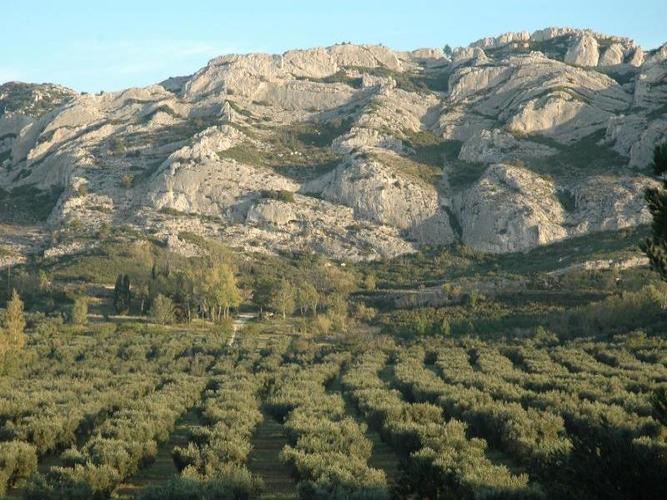 Location de vélos électriques à Saint Rémy de Provence - 13
