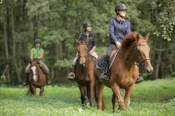 Initiation au poney et à l'équitation pour enfants à la Forêt de Rambouillet