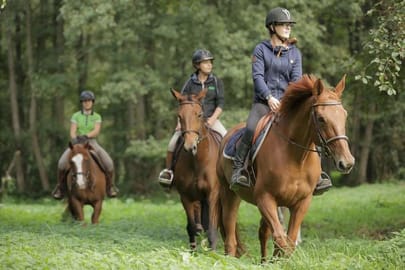 Initiation au poney et à l'équitation pour enfants à la Forêt de Rambouillet 