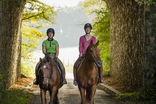 Initiation au poney et à l'équitation pour enfants à la Forêt de Rambouillet 