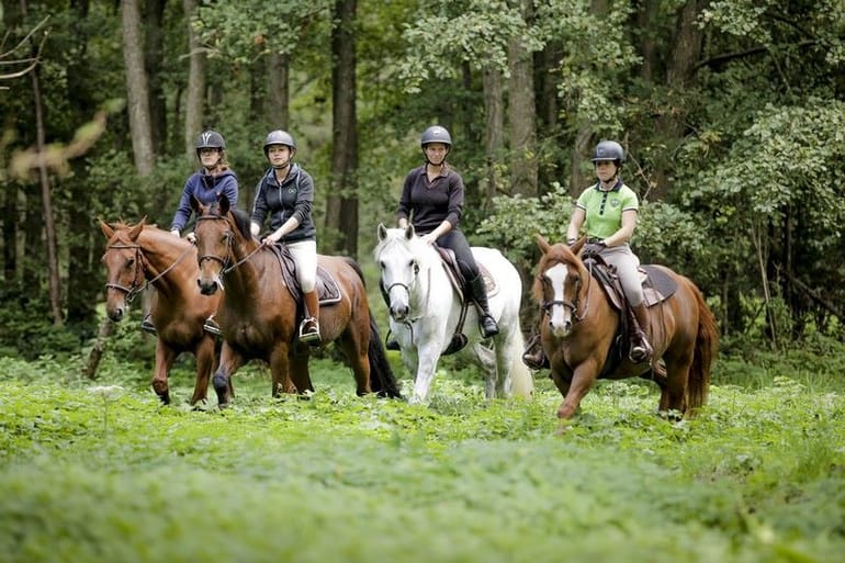 Initiation au poney et à l'équitation pour enfants à la Forêt de Rambouillet 