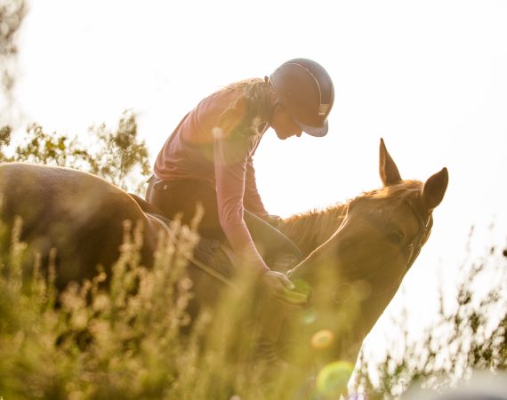 Initiation au poney et à l'équitation pour enfants à la Forêt de Rambouillet 