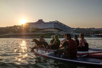 Location de Canoë à Lyon - Visite du vieux Lyon en Kayak depuis la Saône jusqu'à Confluence