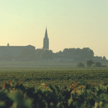 Rallye Oenologique à Vélo - Saint-Émilion