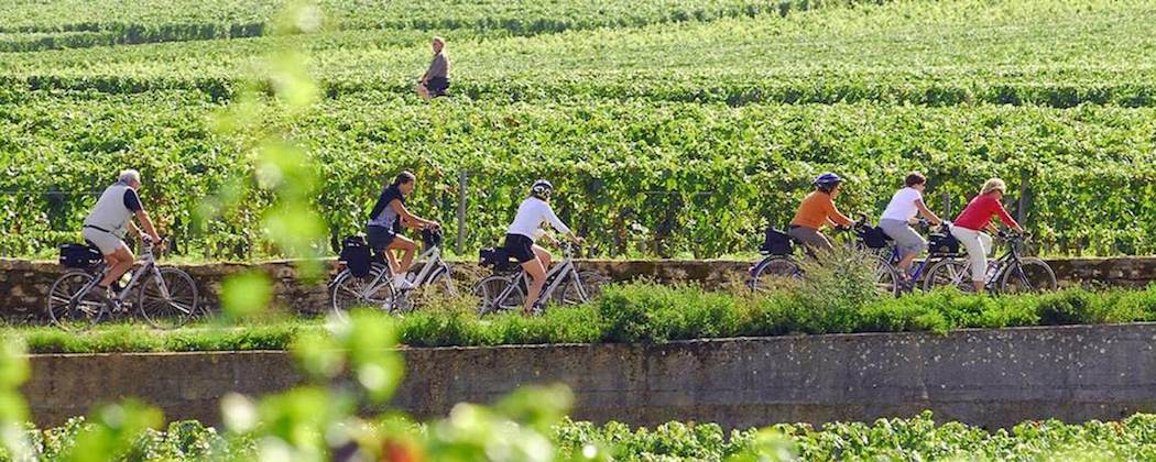 Rallye Oenologique à Vélo - Saint-Émilion