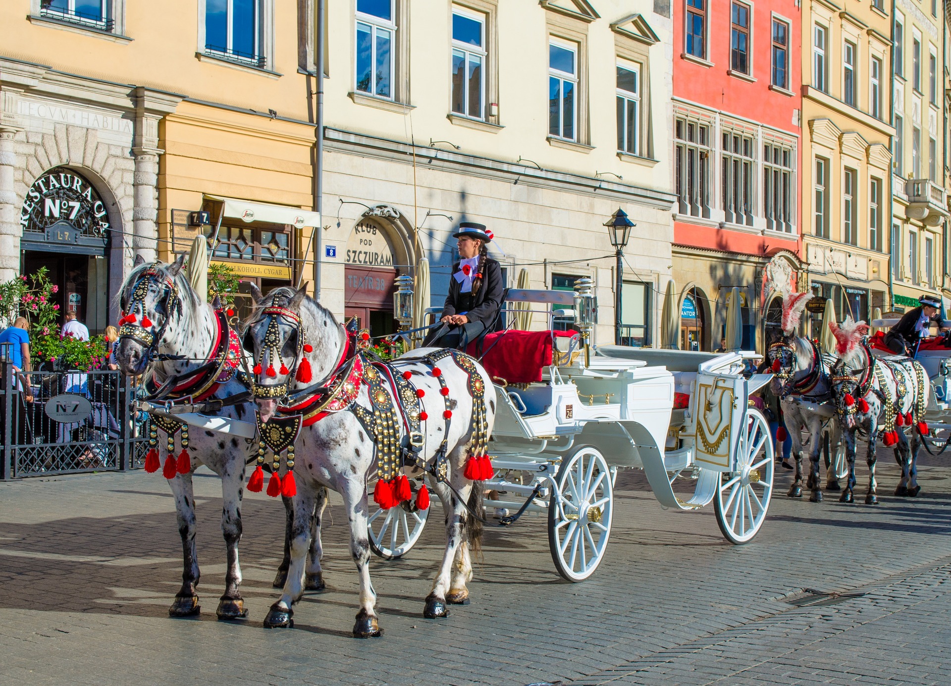 Trouver une activité pour un EVG à Cracovie