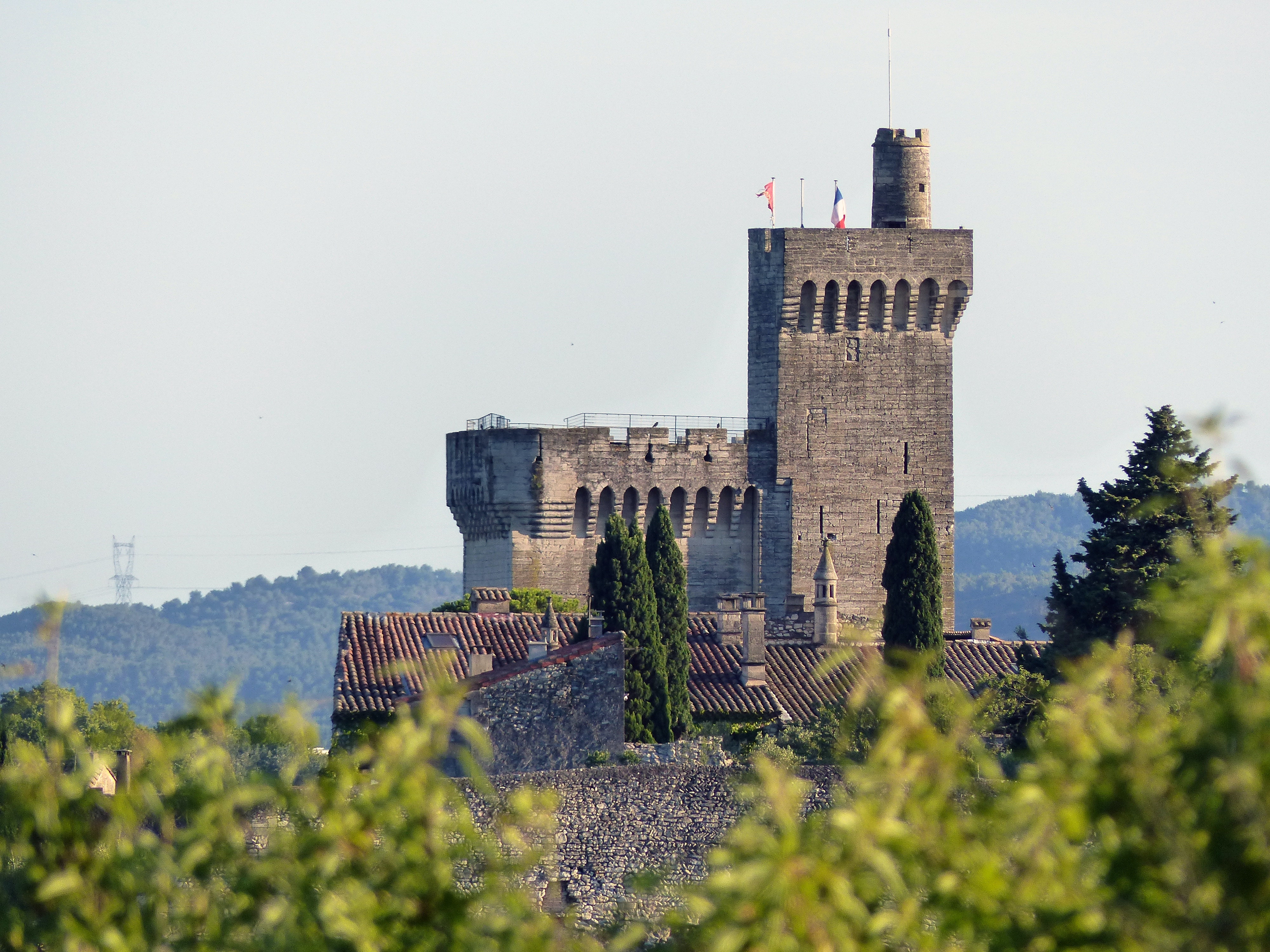 Trouver une activité pour un EVJF à Avignon