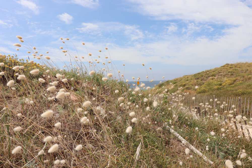 Trouver une activité pour un EVJF à l'Île de Ré
