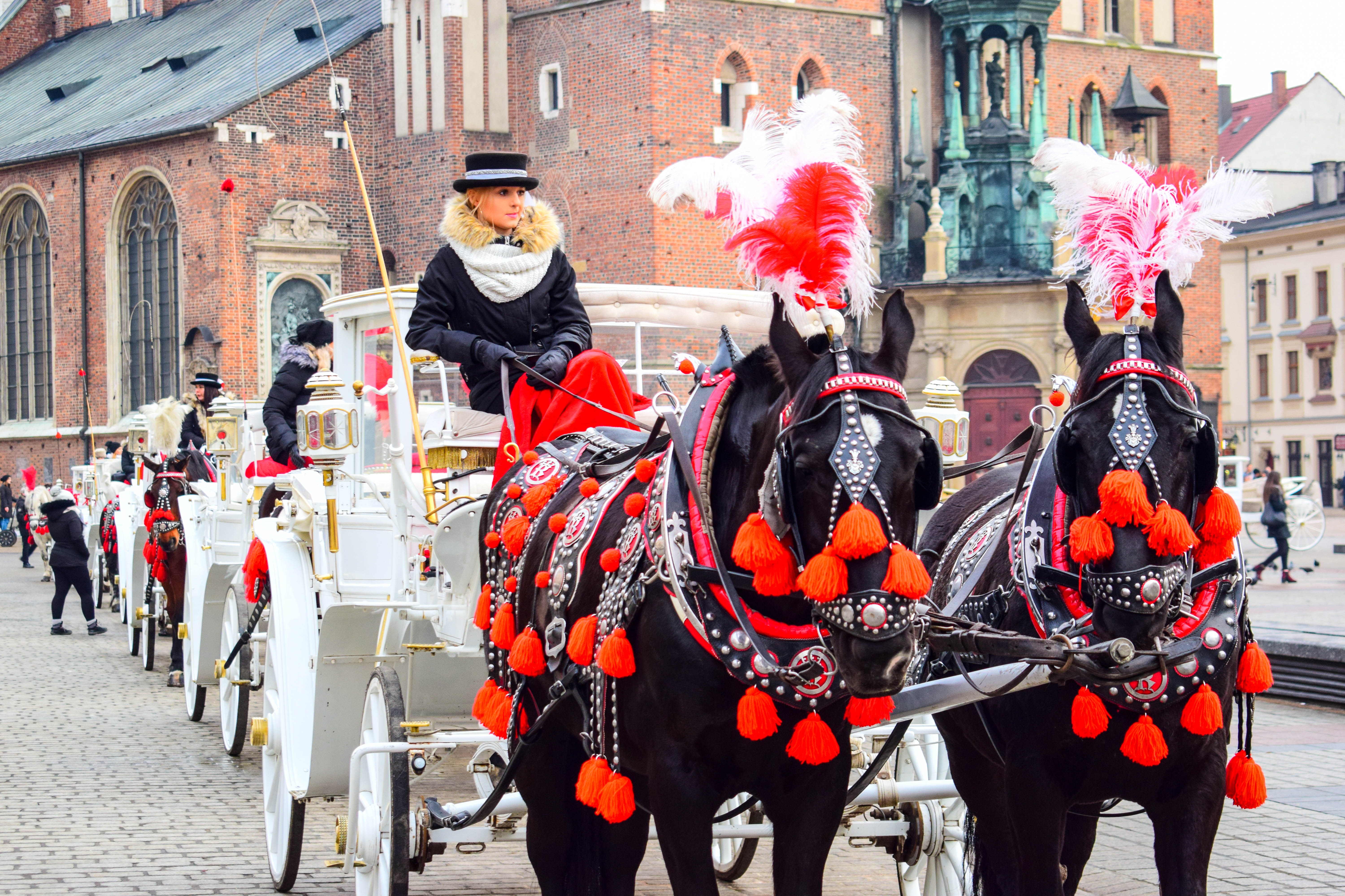 Trouver une activité de Team Building à Cracovie